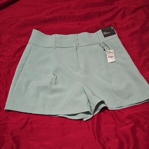 Express Women's Mint Green High Waist Shorts